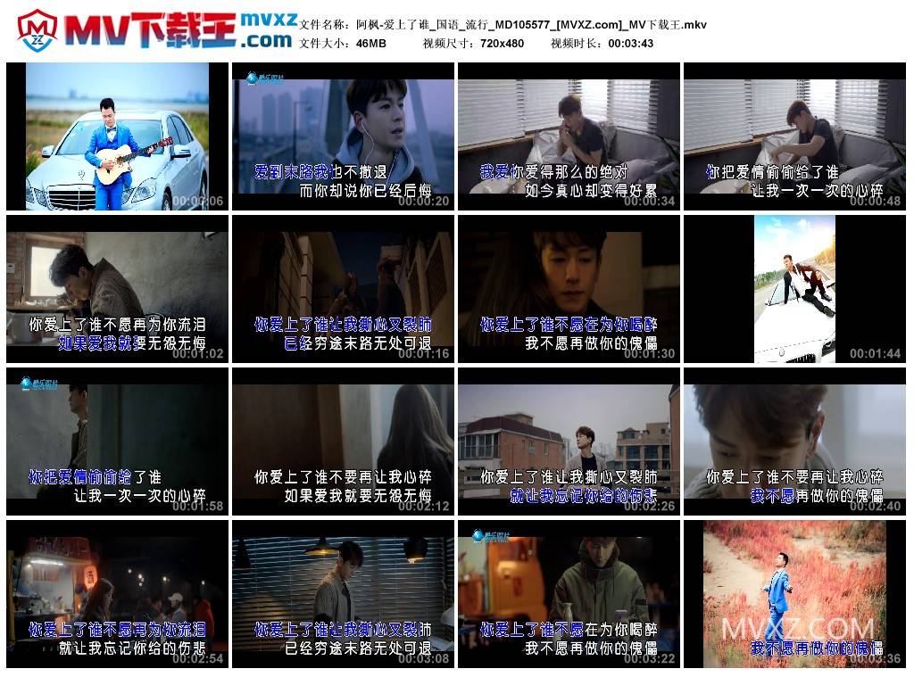 阿枫-爱上了谁_国语_流行_MD105577